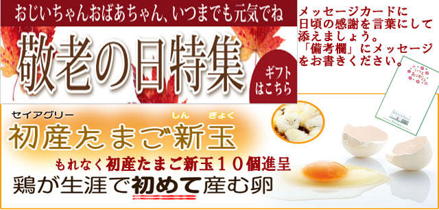 bnr_special20130906.jpg