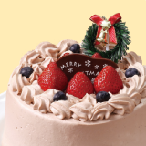 クリスマスケーキ６号生チョコタイプ