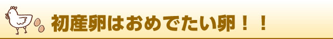 初産卵はおめでたい卵！！