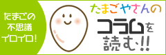 コラム