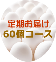 定期お届け60個コース