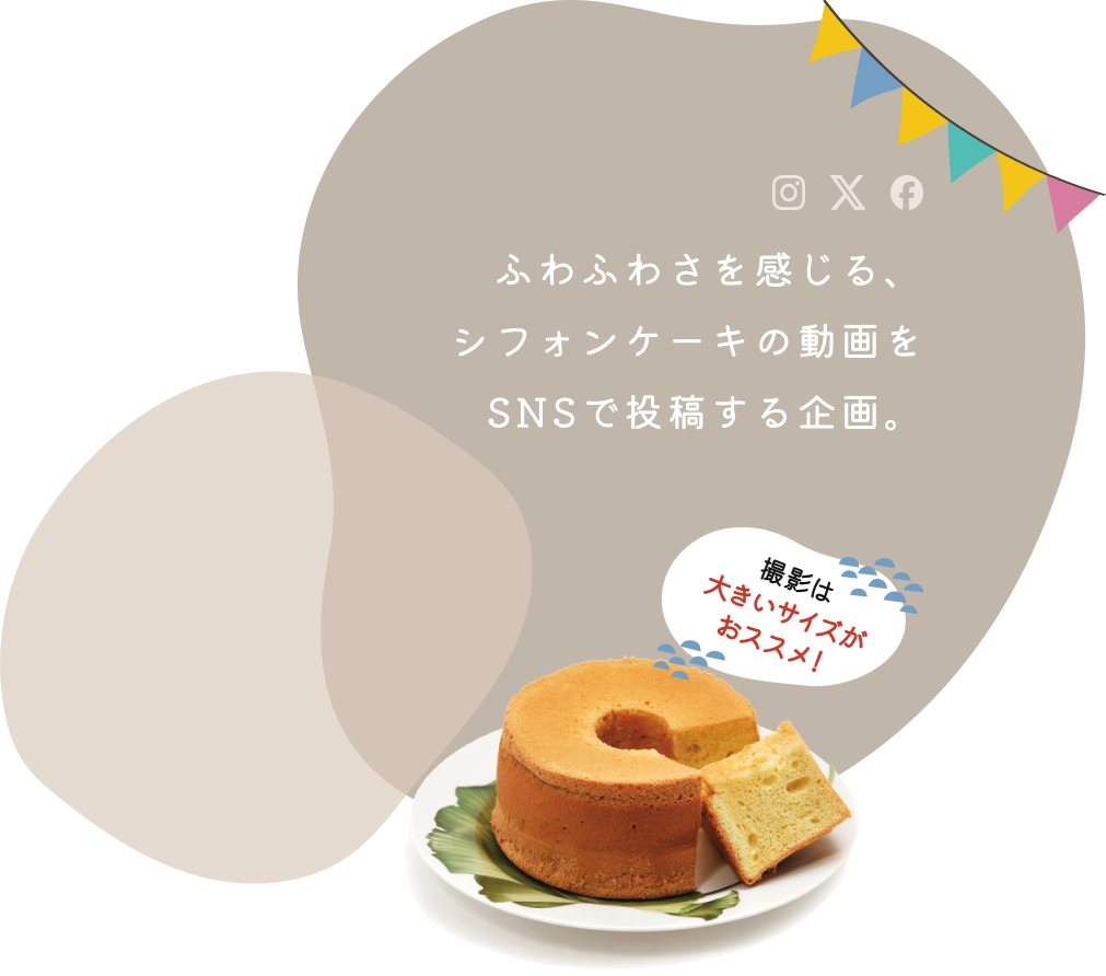 ふわふわ選手権とは